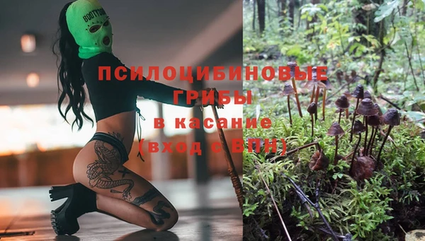 a pvp Вязьма