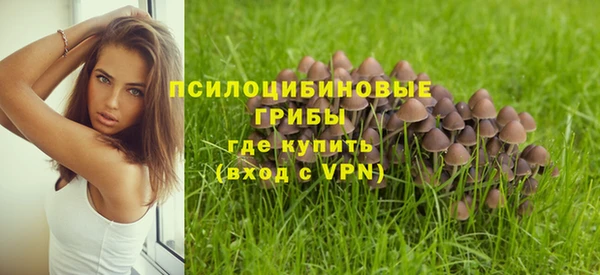 a pvp Вязьма