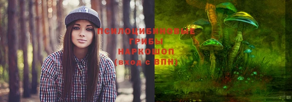 амф Горно-Алтайск